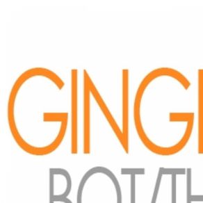 Download track Ne Ginger - Bot