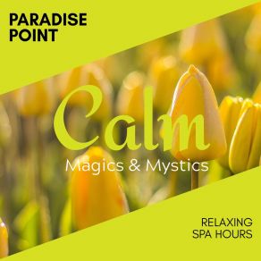 Download track The Time Has Gone Spa Zen Melodies