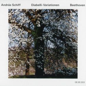 Download track Sonate Nr. 32 In C-Moll Op. 111 (1821 / 22): I. Maestoso - Allegro Con Brio Ed Appassionato Ludwig Van Beethoven, András Schiff