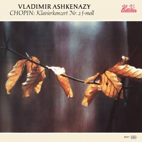 Download track Etudes-Tableaux, Op. 33: Rachmaninoff: Etudes-Tableaux, Op. 33: No. 5 In E-Flat Minor. Non Allegro – Presto Vladimir AshkenazyLev Oborin