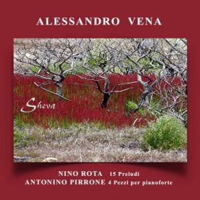 Download track Preludes: No. 15, Allegro Robusto Pirrone, Alessandro Vena