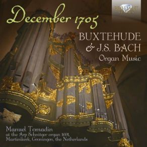 Download track Toccata In D Minor, BUXWV 155 Manuel Tomadin
