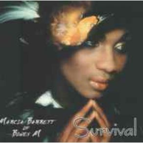 Download track Seeing Is Believing Marcia Barrett