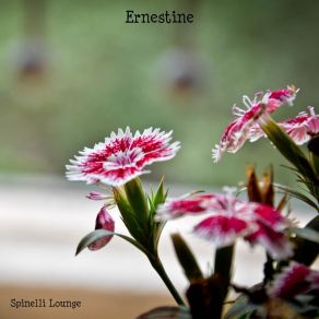 Download track The Recognition Spinelli Lounge