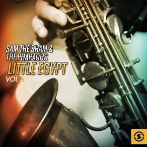 Download track Money's My Problem Sam The Sham & The Pharaohs