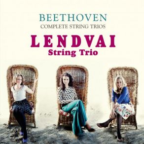 Download track String Trio In C Minor, Op. 9, No. 3: III. Scherzo. Allegro Molto E Vivace Lendvai String Trio