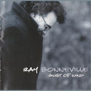Download track Don't Look Back Ray Bonneville