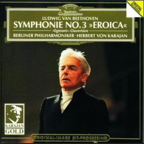 Download track Symphony No. 9 In D Minor, Op. 125 (2) Molto Vivace Ludwig Van Beethoven