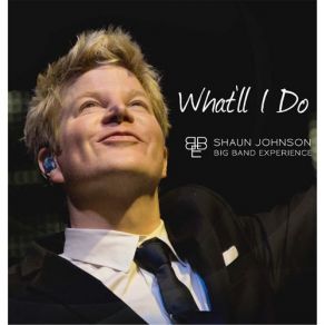 Download track What'll I Do Shaun Johnson Big Band Experience