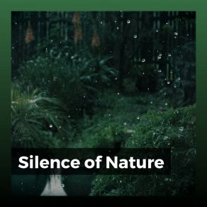 Download track Spring Bird Sounds Bird Sounds