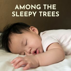 Download track Velvet Serenade Baby Sleep Zone