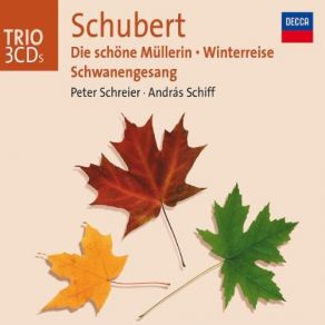 Download track Winterreise, D. 911: Nr. 3. Gefrorne Tränen Peter Schreier, András Schiff