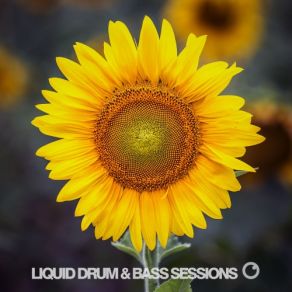 Download track Changing Faces Bcee, Lomax
