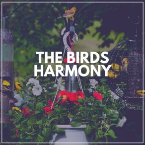 Download track Spring Bird Sounds Sounds Of Nature Noise