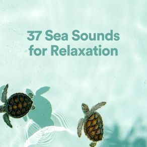 Download track Explorer Ocean Ocean Therapy