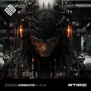 Download track Assimilated Joevkid