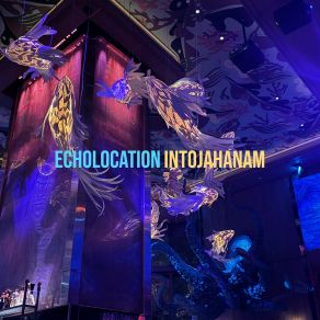 Download track Echolocation IntoJahanam