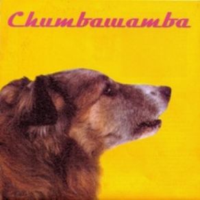 Download track I'M Not Sorry, I Was Having Fun Chumbawamba