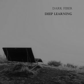 Download track Deep Learning Dark Fiber