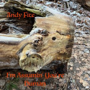 Download track Use Your Voice Andy Fite
