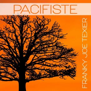 Download track Apache Franky Joe Texier