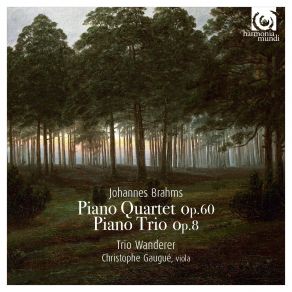 Download track Piano Quartet No. 3 In C Minor, Op. 60: II. Scherzo. Allegro Wanderer Trio, Christophe Gaugué