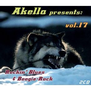Download track Woman's Lookin' For A Man The Catch