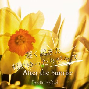 Download track We'll Recover Together Daytime Owl