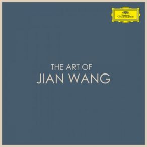 Download track Divertimento In B-Flat Major, K. 254 I. Allegro Assai' Jian WangMaria-Joao Pires