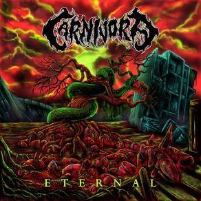 Download track Conclusions Carnivora