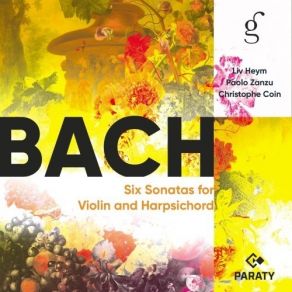 Download track 04. Sonata No. 1 In B Minor For Violin And Harpsichord, BWV 1014 IV. Allegro Johann Sebastian Bach
