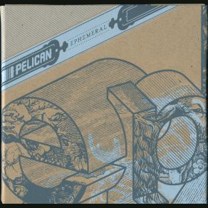 Download track Ephemeral Pelican