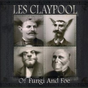 Download track You Can't Tell Errol Anything Les Claypool