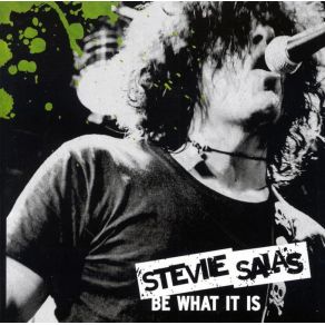 Download track What It Was To Be What It Is Stevie Salas Colorcode