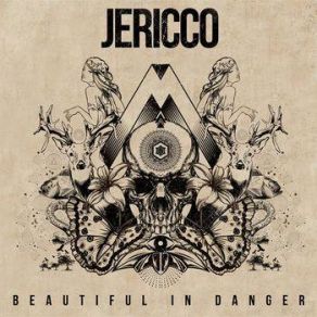 Download track Dance Like No One'S Watching Jericco