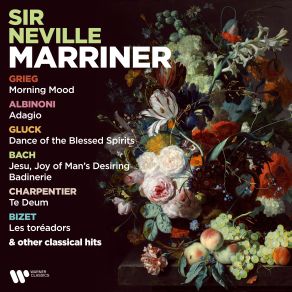 Download track Water Music, Suite No. 2 In D Major, HWV 349- II. Alla Hornpipe Sir. Neville Marriner