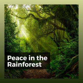 Download track A Bit Of Chill Weather Rain FX