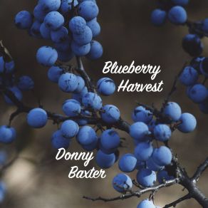 Download track She Loves Me When She's Drinkin' Donny Baxter
