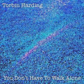 Download track You Don’t Have To Walk Alone Torbin Harding