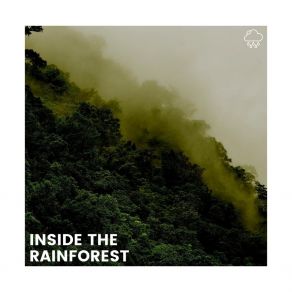 Download track Paper Boats Started Floating Rain Sounds Nature Collection