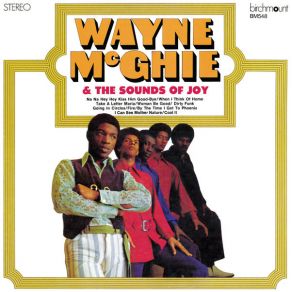 Download track Going In Circles Wayne McGhie