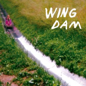 Download track How To Swim Wing Dam
