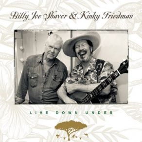 Download track Old Chunk Of Coal (Live) Billy Joe Shaver, Kinky Friedman