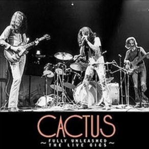Download track Big Mama Boogie (Parts 1 & 2) Cactus
