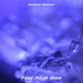 Download track Tunnel Of Love Shadow Memory