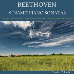 Download track Piano Sonata No. 18 In E-Flat Major, Op. 31 No. 3, The Hunt III. Menuetto. Moderato E Grazioso Claudio Colombo