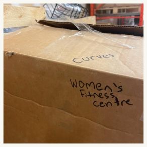 Download track Models The Curves