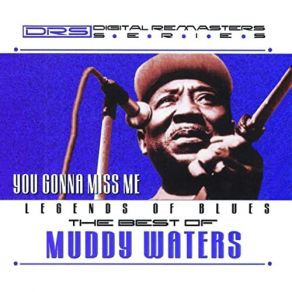 Download track Can't Lose What You Ain't Never Had Muddy Waters