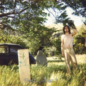 Download track Don'T Think Twice (Love) Ariel Pink'S Haunted Graffiti