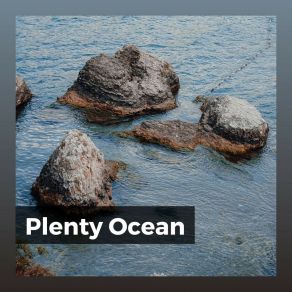 Download track Collecting Shells Beach Sounds